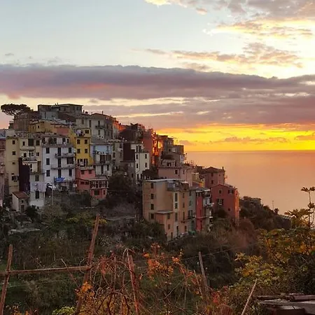 Lejlighed 5 Terre Rentals Corniglia